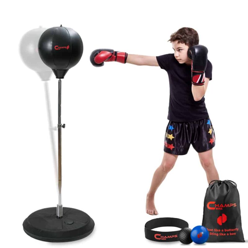 boxing reflex kit for kids