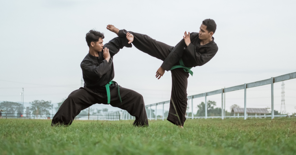 Beginner’s Guide to Martial Arts Training