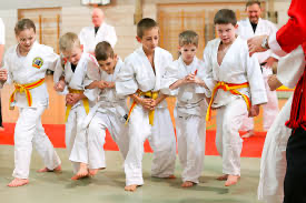 How Martial Art Can Help in the Holistic Development of Children?